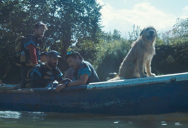 Arthur the King: A Tale of Friendship and Endurance | Ster-Kinekor